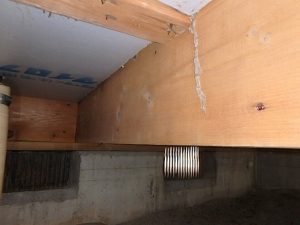 基礎　床下　蟻道　住宅診断