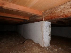 シロアリ業者の裏話