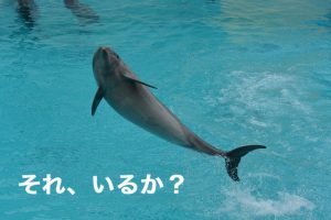 新築マンションの内覧会同行は必要ですか？