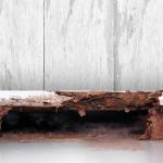 シロアリ業者さんの裏話②