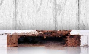 シロアリ業者さんの裏話②